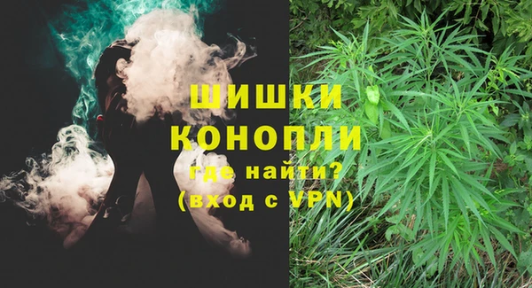 PSILOCYBIN Алексин