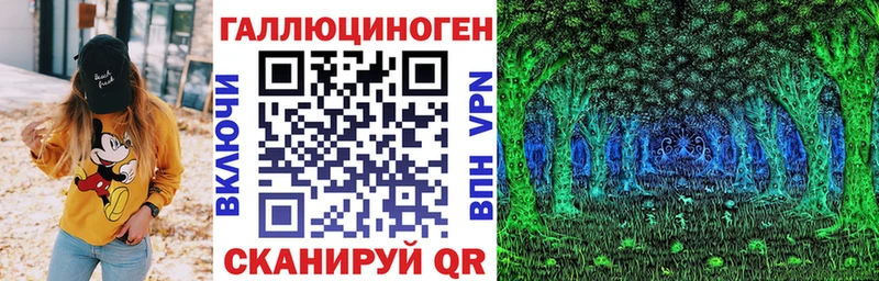 Галлюциногенные грибы Psilocybe  Карачев 